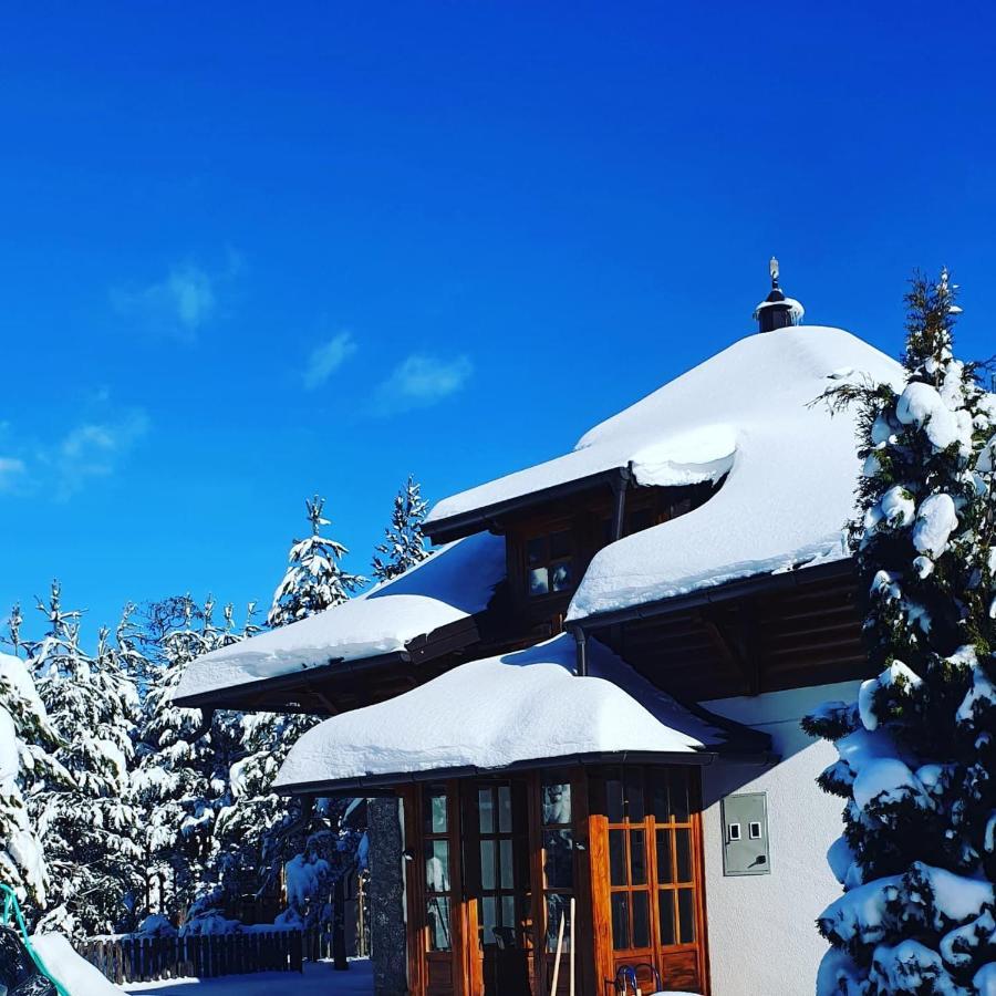 Vila Panic Zlatibor Exterior photo